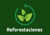 Reforestaciones 2014